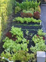 DSCN2760.webp