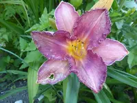 P1450271.webp