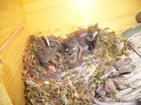 100_1819.webp 100_1819.webp