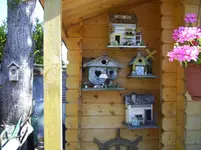 100_1820.webp 100_1820.webp