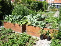 100_1821.webp 100_1821.webp