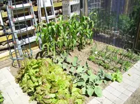 100_1823.webp 100_1823.webp