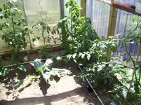 100_1826.webp 100_1826.webp