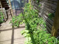 100_1827.webp 100_1827.webp