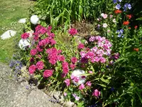 100_1835.webp 100_1835.webp