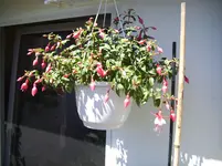 100_1837.webp 100_1837.webp