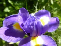 P1450448.webp