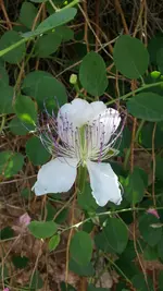 20150621_102742.webp