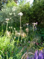 DSCN9358.webp