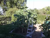 20150701_184909.webp