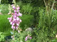 BILD4150.webp