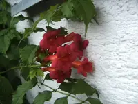 BILD4157.webp