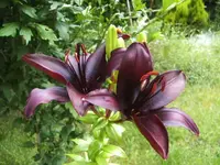 BILD4158.webp