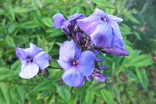 DSCF1762.webp