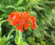 DSCF1768 (2).webp