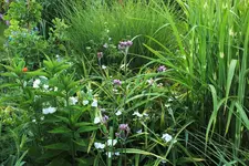 DSCF1770 (2).webp