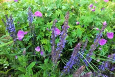 DSCF1771 (2).webp