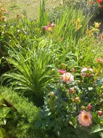 DSCN2772.webp