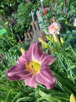 DSCN2771.webp