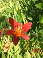 DSCN2774.webp