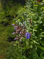 DSCN2767.webp