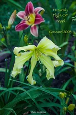 IMG_0959.webp