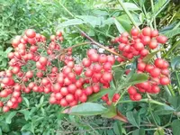 Bilda016.webp