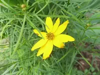 Bilda026.webp