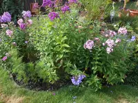 DSCN1369.webp