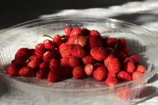walderdbeeren.webp