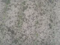 20150630_181851.webp