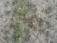 20150630_181856.webp