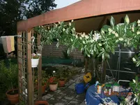 P7020526.webp