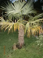 P7020530.webp