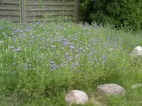 IMGP7888.webp
