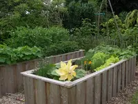 IMGP7905.webp