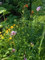DSCN2786.webp