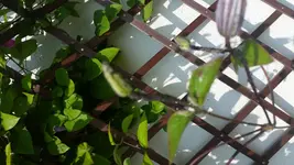 20150703_102023.webp