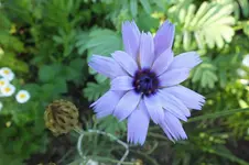 DSCF1787 (2).webp