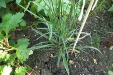 DSCF1789.webp