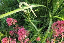 DSCF1785 (2).webp