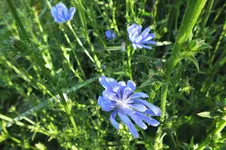 DSCF1798 (2).webp