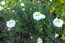DSCF1806.webp