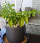 20150628_140339.jpg
