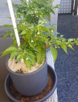 20150701_090047.jpg