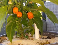 20150701_090129.jpg