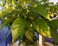 20150701_090148.jpg