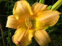 DSCN9360.webp