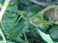 20150703_192602.jpg