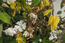 DSCF1811.webp